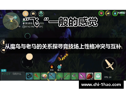 从魔鸟与老马的关系探寻竞技场上性格冲突与互补