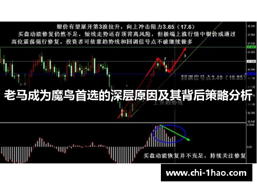 老马成为魔鸟首选的深层原因及其背后策略分析