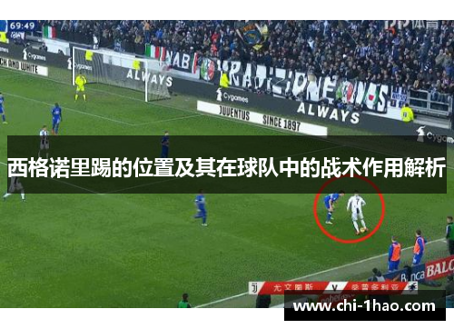 西格诺里踢的位置及其在球队中的战术作用解析