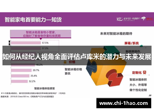 如何从经纪人视角全面评估卢库米的潜力与未来发展