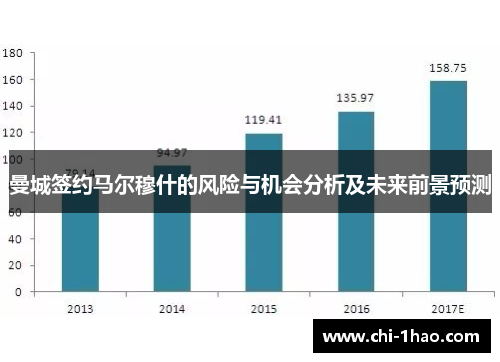 曼城签约马尔穆什的风险与机会分析及未来前景预测