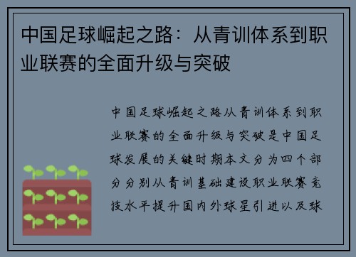 中国足球崛起之路:从青训体系到职业联赛的全面升级与突破 中国足球崛起之路:从青训体系到职业联赛的全面升级与突破