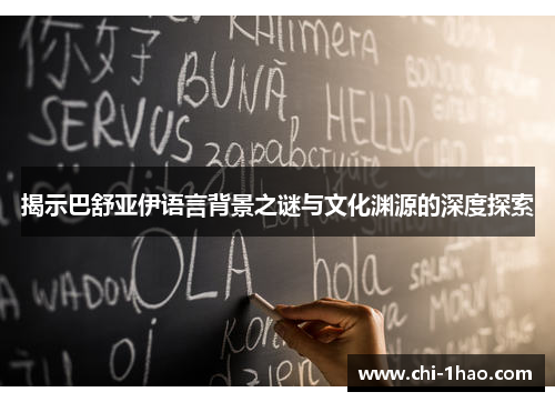 揭示巴舒亚伊语言背景之谜与文化渊源的深度探索