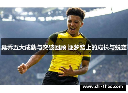 桑乔五大成就与突破回顾 逐梦路上的成长与蜕变