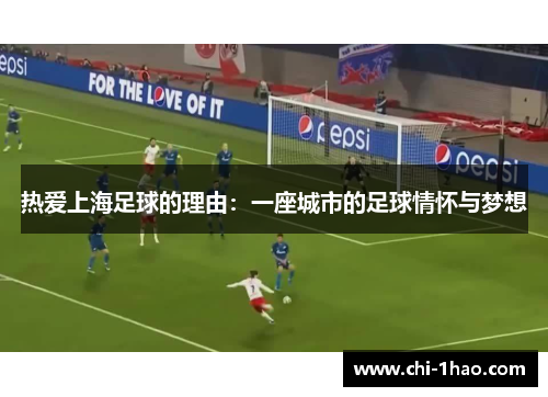 热爱上海足球的理由：一座城市的足球情怀与梦想