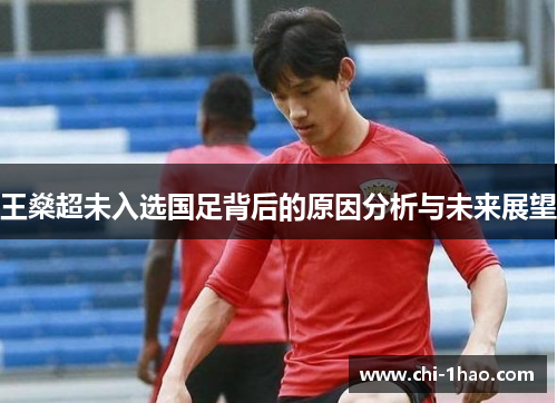 王燊超未入选国足背后的原因分析与未来展望