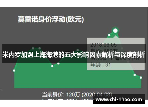 米内罗加盟上海海港的五大影响因素解析与深度剖析