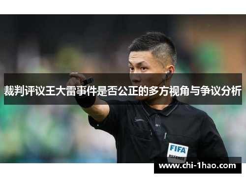 裁判评议王大雷事件是否公正的多方视角与争议分析