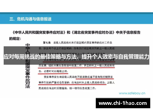 应对每周挑战的最佳策略与方法，提升个人效率与自我管理能力