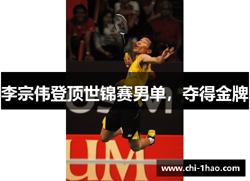 李宗伟登顶世锦赛男单，夺得金牌