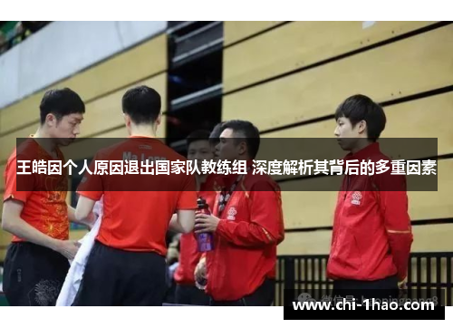 王皓因个人原因退出国家队教练组 深度解析其背后的多重因素